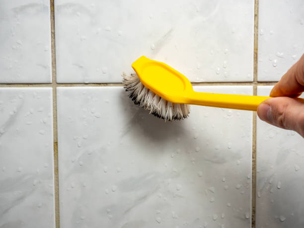 Best Home Mold Removal  in Dixon, MO
