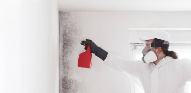 Crawl Space Mold Removal in Dixon, MO